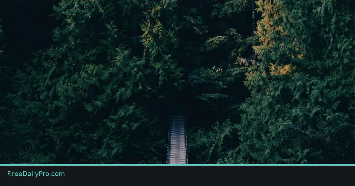 Creator removing audio from a video on a laptop